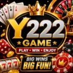 Y222 Game